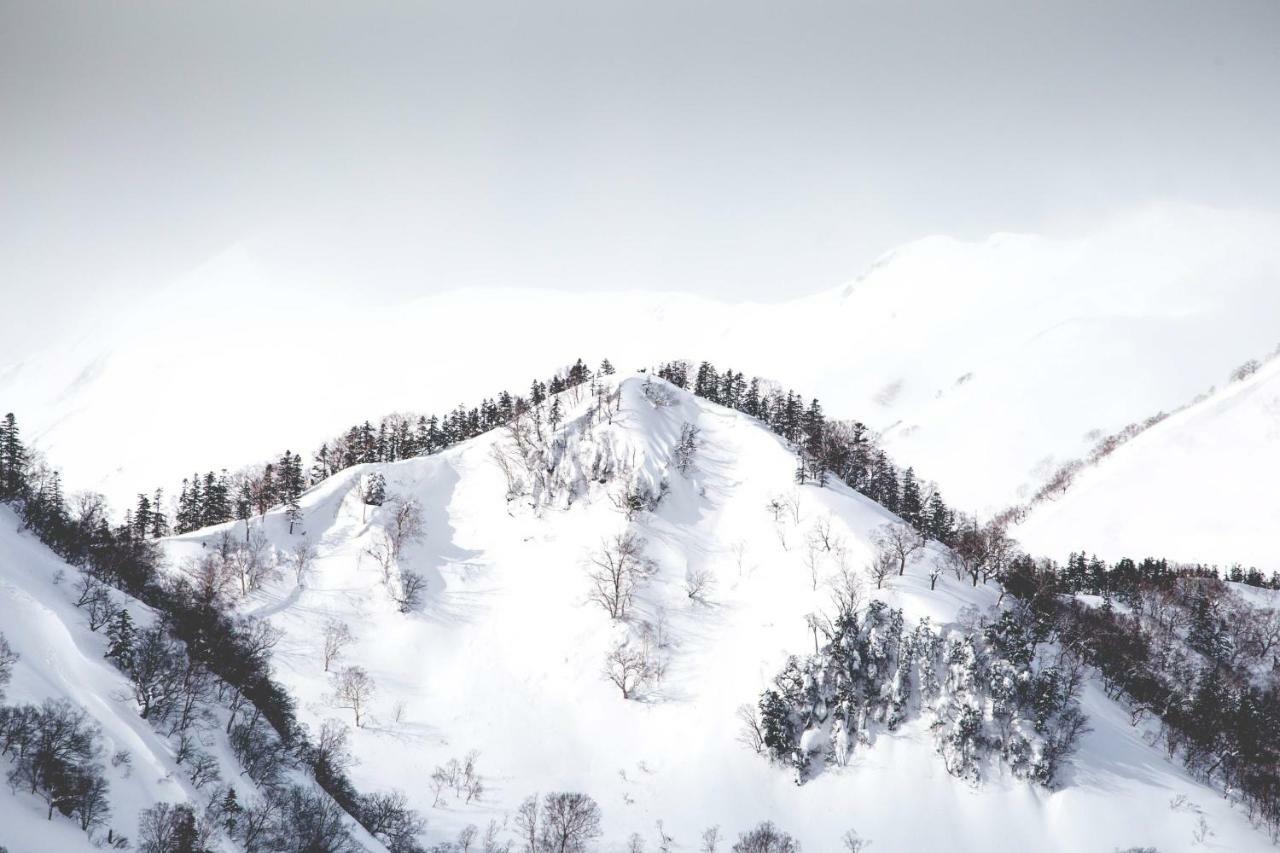 Hakuba Cortina Backpackers Hostel Otari Buitenkant foto